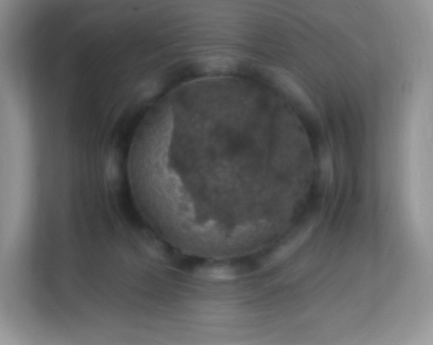 X0000113310228200909281131