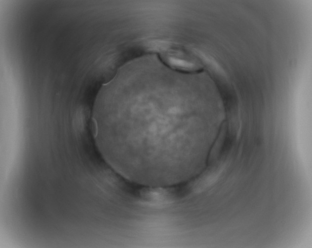 X0000113310229200909281131