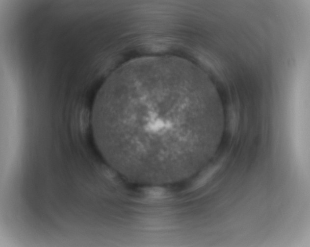 X0000113310230200909281131