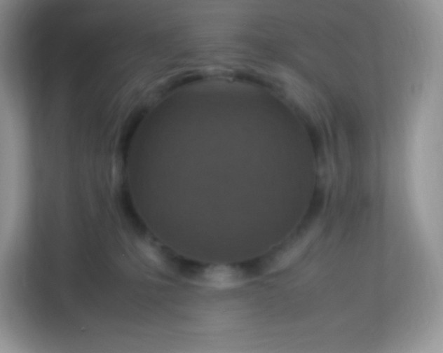 X0000113310231200909281131