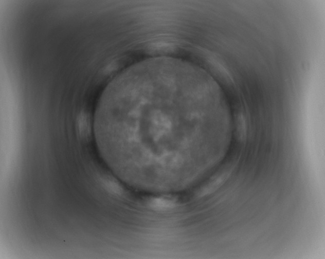 X0000113310232200909281131