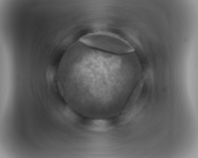 X0000113310233200909281131