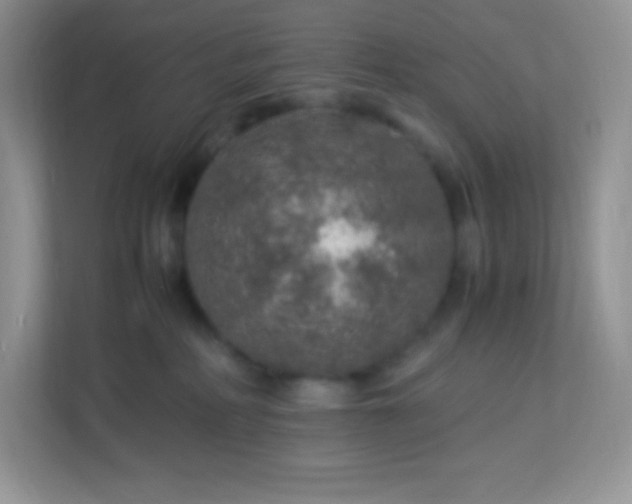 X0000113310234200909281131