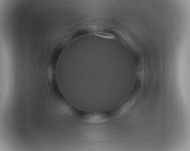 X0000113310235200909281131