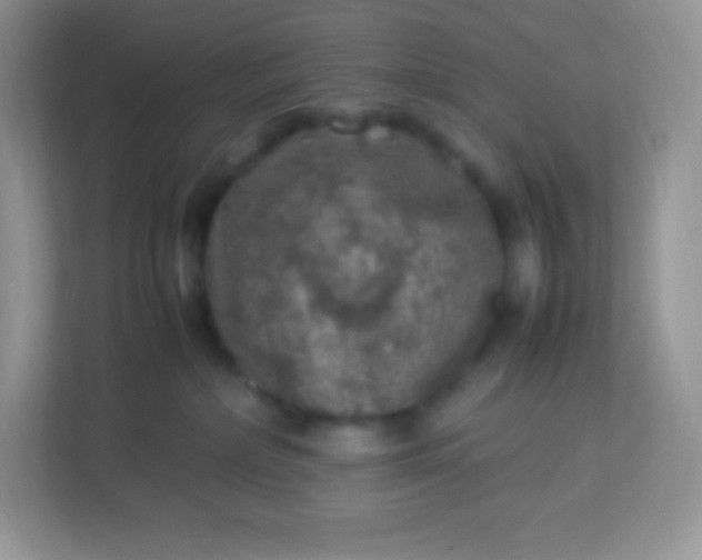 X0000113310236200909281131