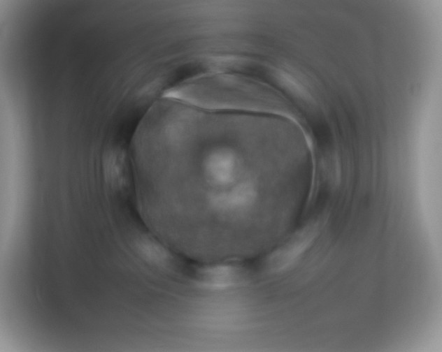 X0000113310237200909281131