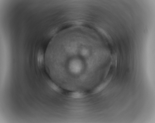 X0000113310238200909281131