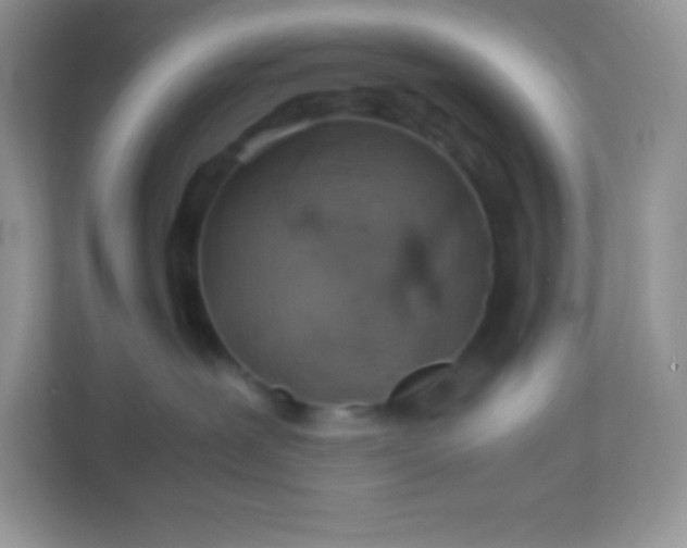 X0000113310239200909281131