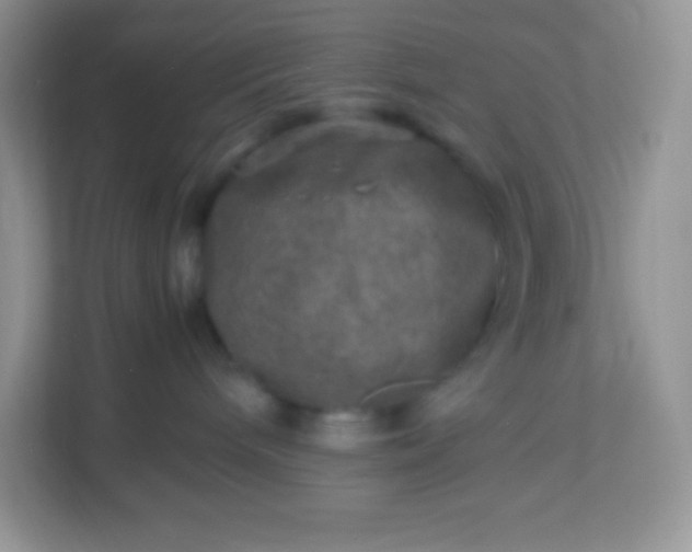 X0000113310240200909281131