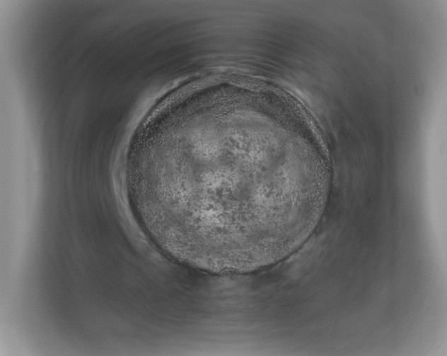 X0000113310241200909281130