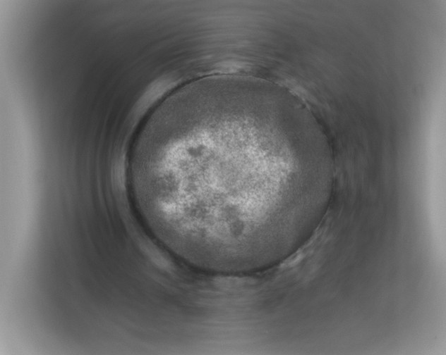 X0000113310242200909281130