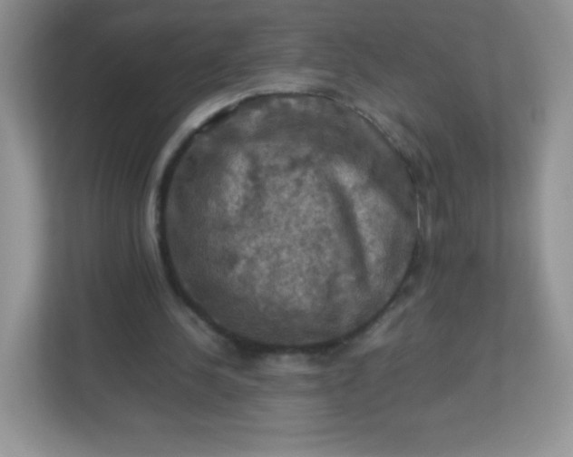 X0000113310244200909281130