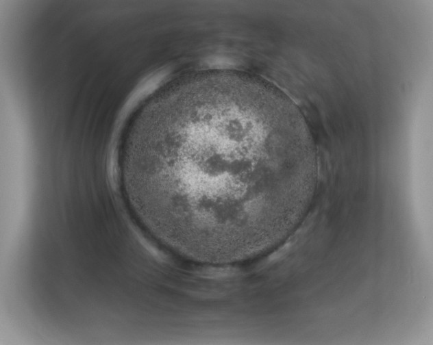 X0000113310245200909281130