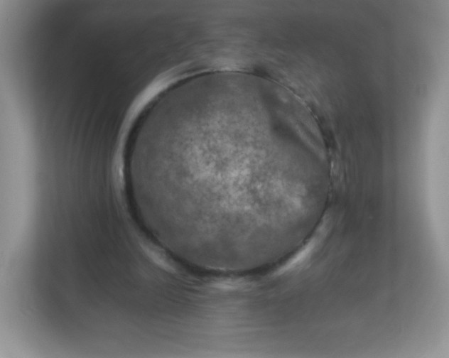 X0000113310246200909281130