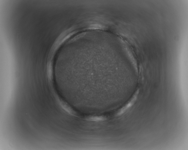 X0000113310247200909281130