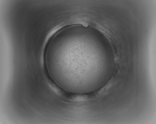 X0000113310248200909281130