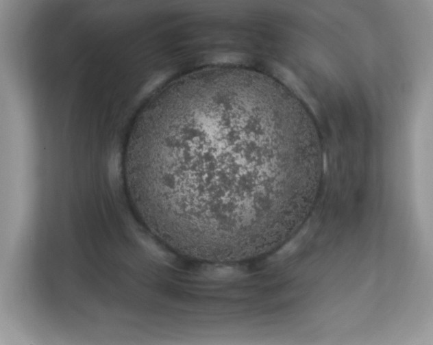 X0000113310249200909281130