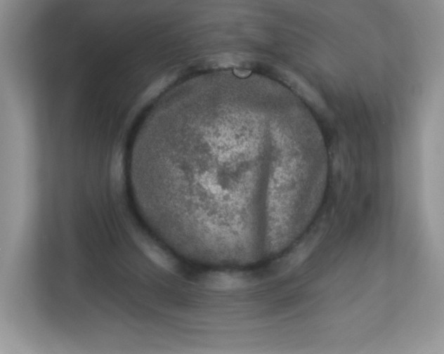 X0000113310250200909281130