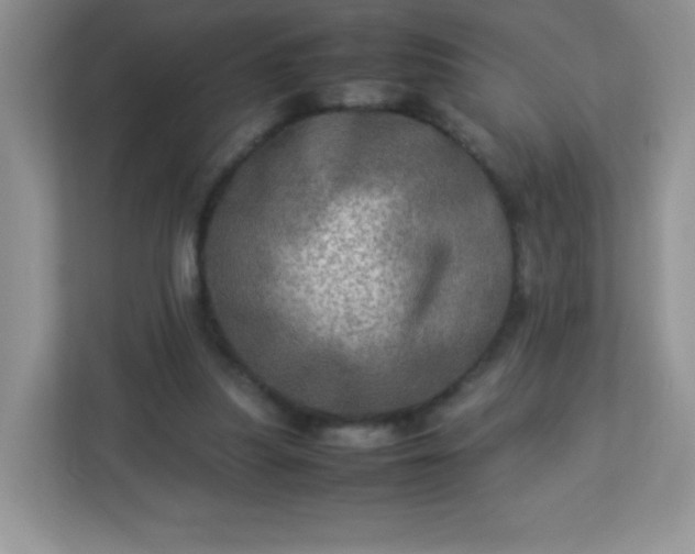 X0000113310251200909281130