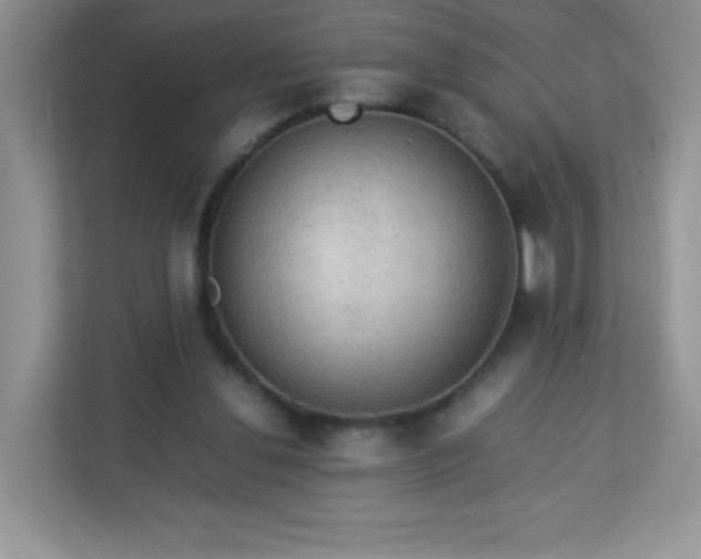 X0000113310252200909281130