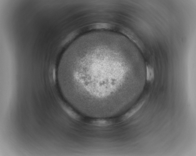 X0000113310253200909281130