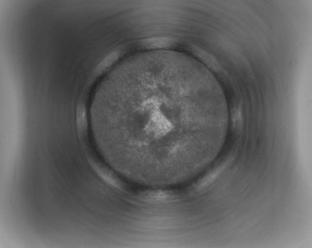 X0000113310254200909281130