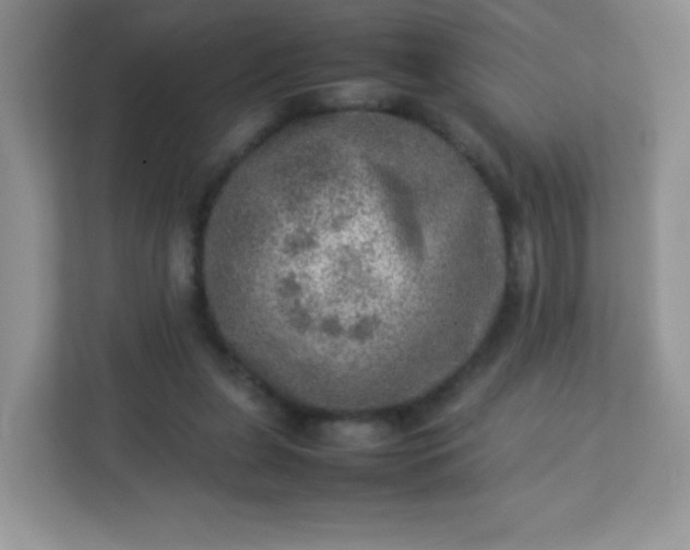 X0000113310255200909281130