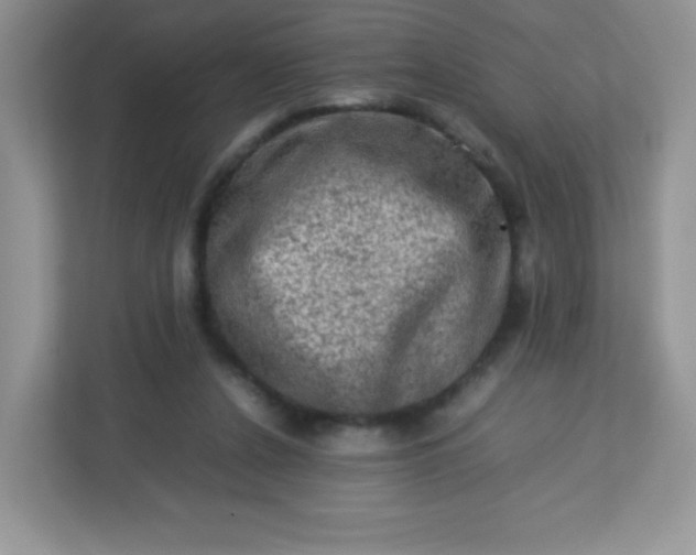 X0000113310256200909281130