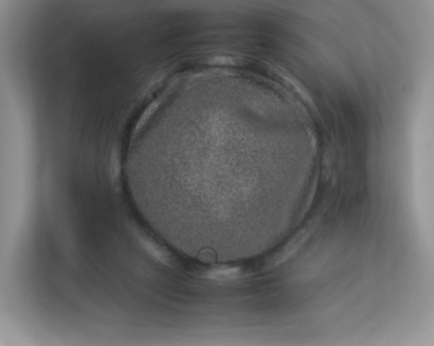 X0000113310257200909281130