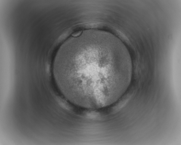 X0000113310258200909281130