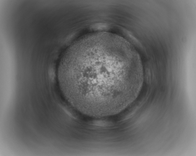 X0000113310259200909281130