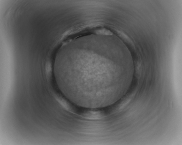 X0000113310260200909281130