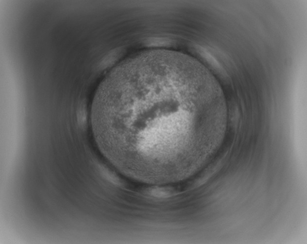 X0000113310261200909281130