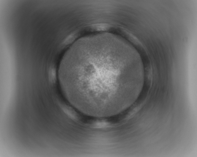 X0000113310262200909281130