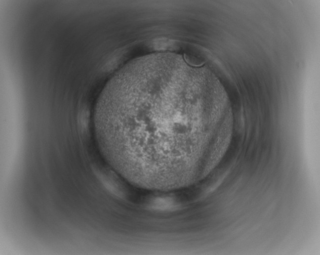 X0000113310263200909281130