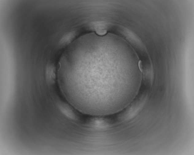 X0000113310264200909281130