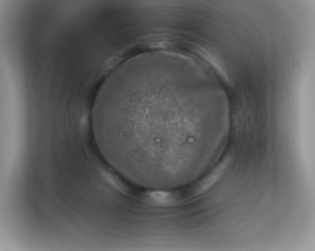 X0000113310265200909281130