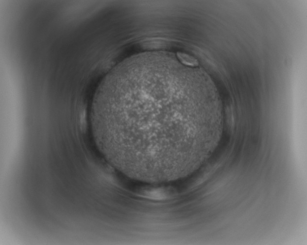 X0000113310267200909281130