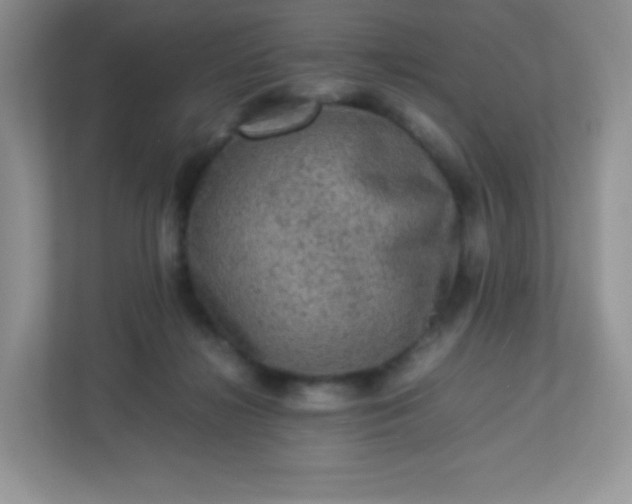 X0000113310268200909281130