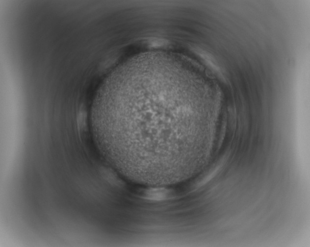 X0000113310269200909281130