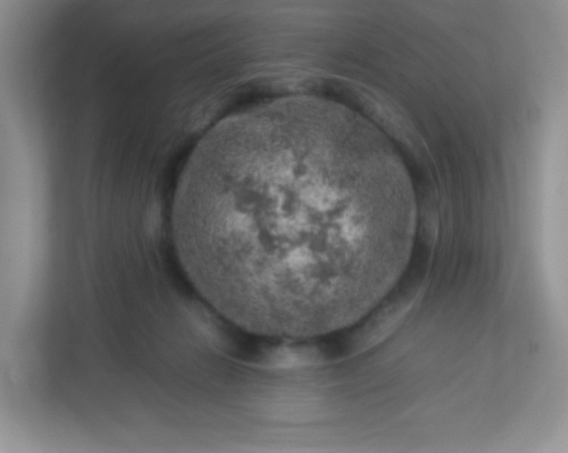 X0000113310270200909281130