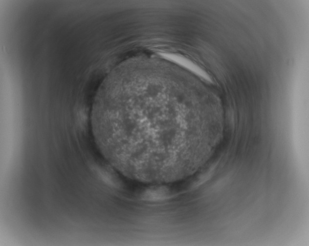 X0000113310271200909281130