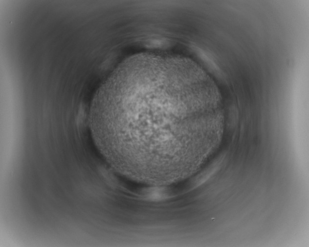 X0000113310273200909281130