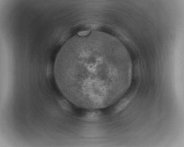 X0000113310274200909281130