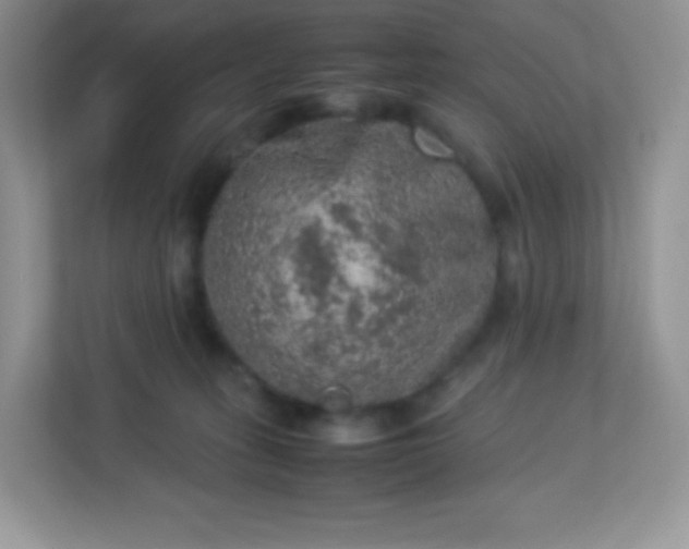 X0000113310275200909281130