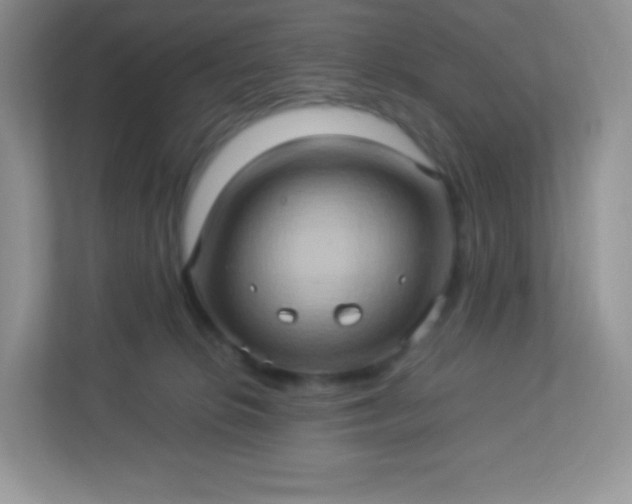 X0000113310276200909281130