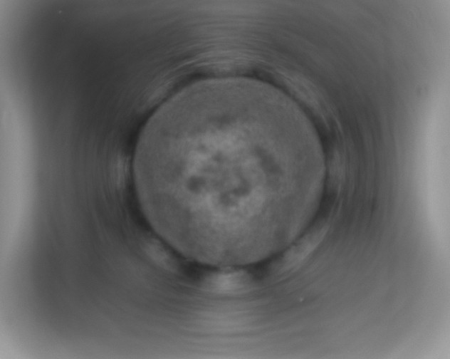 X0000113310278200909281130