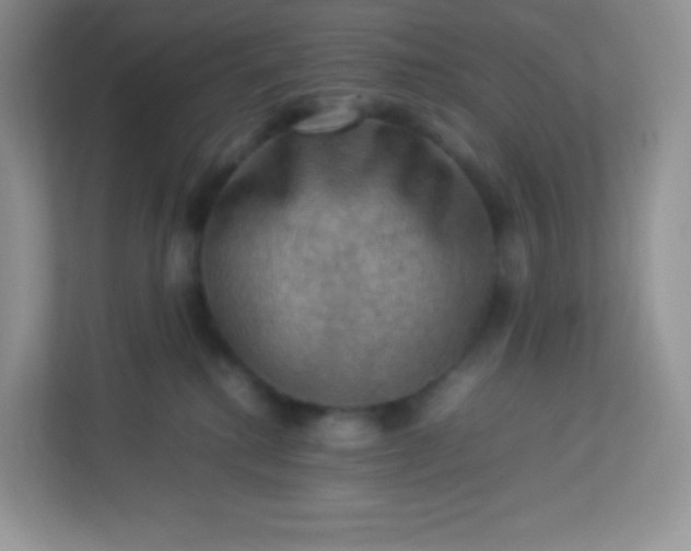 X0000113310280200909281130