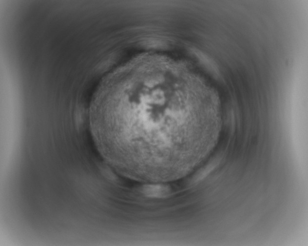 X0000113310281200909281130