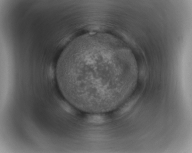 X0000113310282200909281130